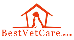 Best Vet Care