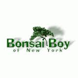 Bonsai Boy of New York  coupons and Bonsai Boy of New York promo codes are at RebateCodes