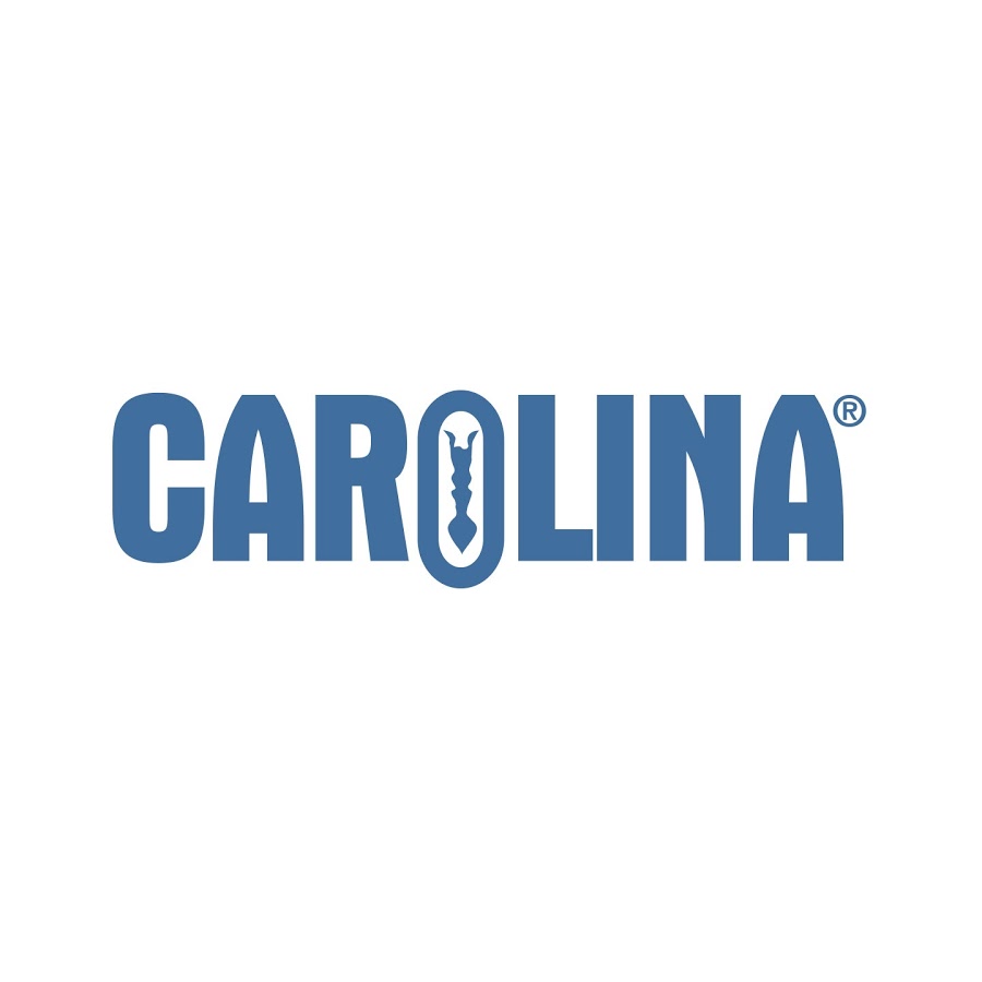 Carolina coupons and Carolina promo codes are at RebateCodes